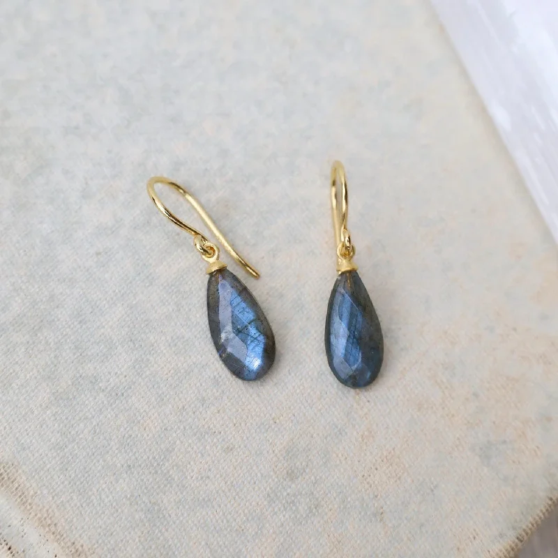 sterling silver earrings for women-Wire Faceted Labradorite Earrings